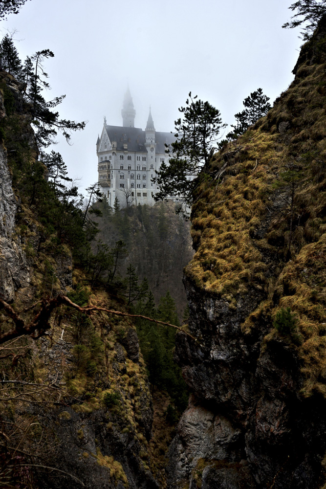 10. Platz Harald Unglert